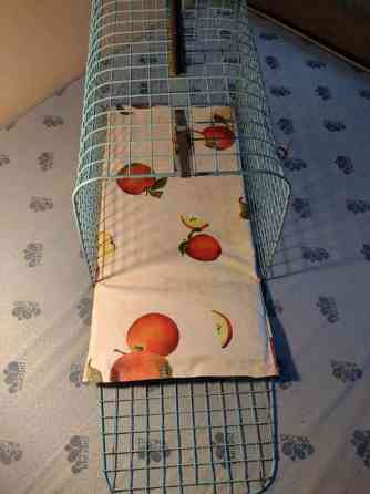 Kissan kuljetuslaatikko Kangasala