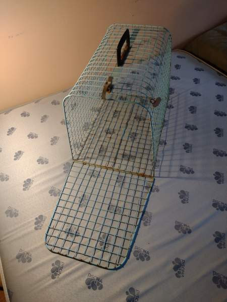 Kissan kuljetuslaatikko Kangasala – foto 1