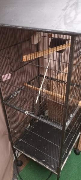 Häkki Lieto – foto 2