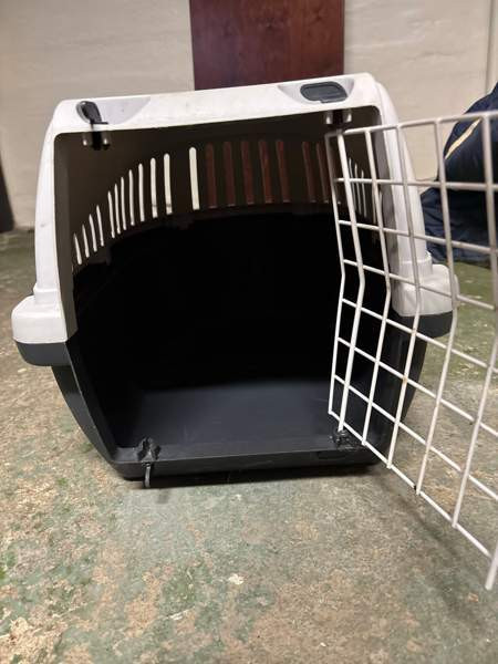 Kissan kantokoppa Parainen – foto 4