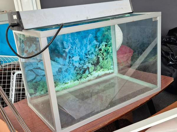 Akvaario Tampere - photo 1