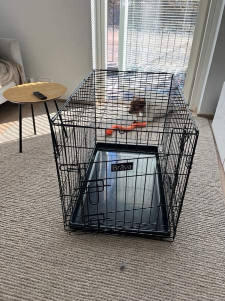 Brava metallihäkki L koko Кангасала - изображение 3