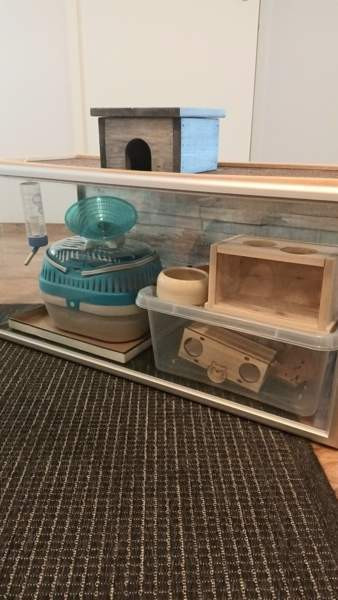 Terraario Tampere – foto 1