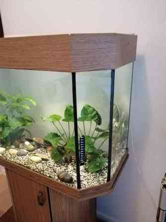 akvaario telineellä Helsinki