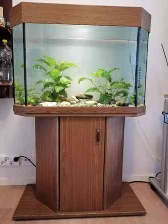 akvaario telineellä Helsinki