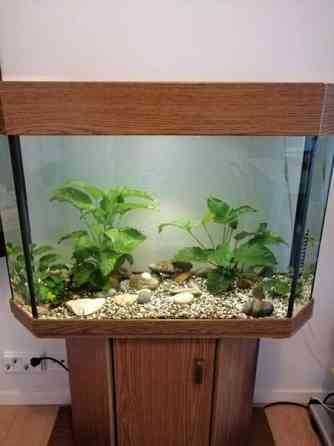 akvaario telineellä Helsinki