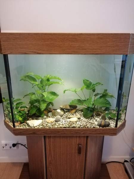 akvaario telineellä Helsinki – foto 3