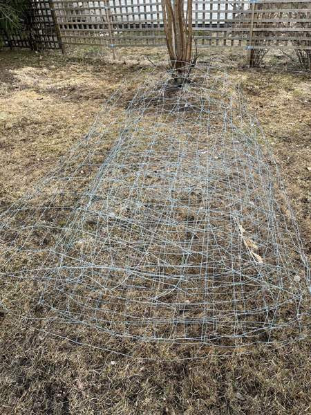 Verkkoaita Tampere - valokuva 3