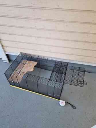 Häkki luukulla Lahti