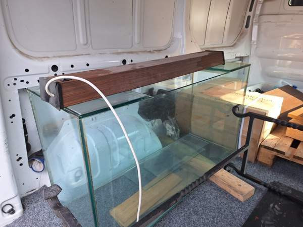 Isohko akvaario / terraario. Helsinki – foto 1