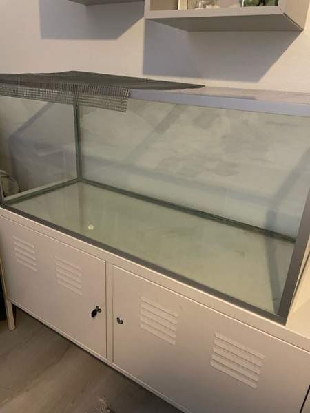 Hamsterin terraario Yloejaervi - photo 2