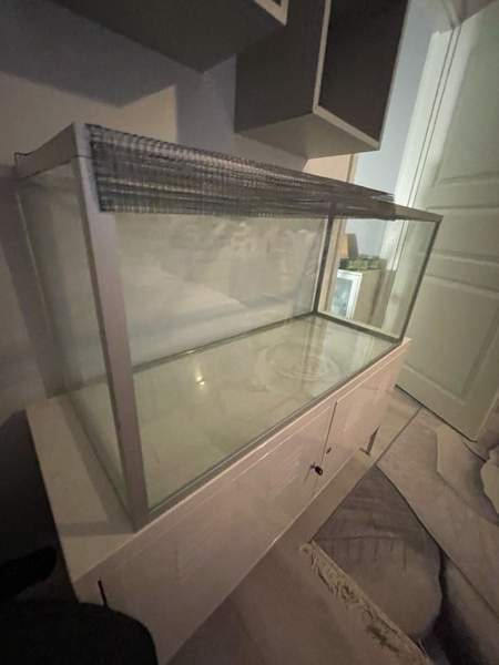 Hamsterin terraario Yloejaervi - photo 3