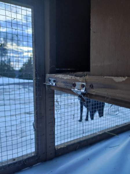 Pieneläinhäkki Kuopio - valokuva 5