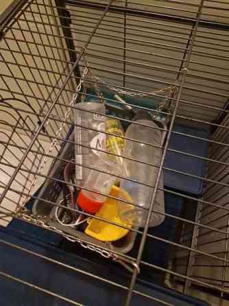 Jyrsijä häkki ja tarvikkeet Kerava