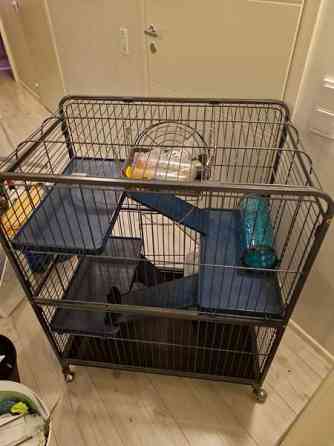 Jyrsijä häkki ja tarvikkeet Kerava