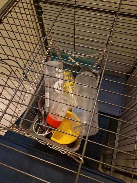 Jyrsijä häkki ja tarvikkeet Kerava - photo 4