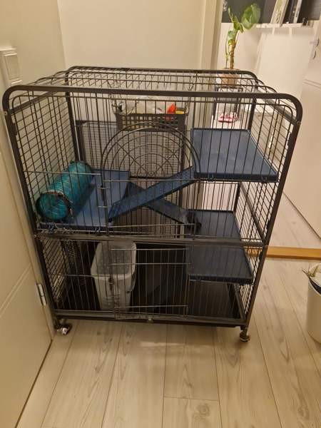 Jyrsijä häkki ja tarvikkeet Kerava - photo 2