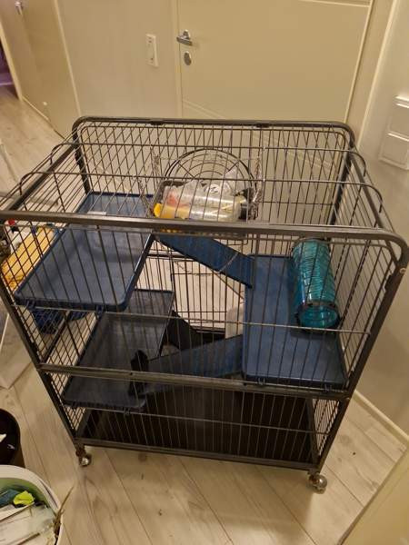 Jyrsijä häkki ja tarvikkeet Kerava - photo 5