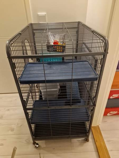 Jyrsijä häkki ja tarvikkeet Kerava - photo 3