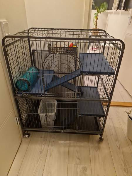 Jyrsijä häkki ja tarvikkeet Kerava - photo 1