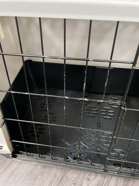 Koirahäkki, kuljetushäkki Tampere - valokuva 5