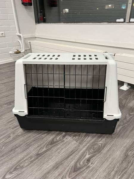 Koirahäkki, kuljetushäkki Tampere - valokuva 1