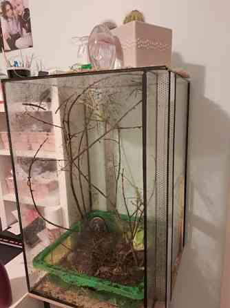 Annetaan sauvasirkat ja akvaario. Loppi