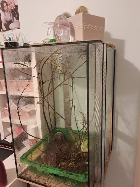 Annetaan sauvasirkat ja akvaario. Loppi – foto 1