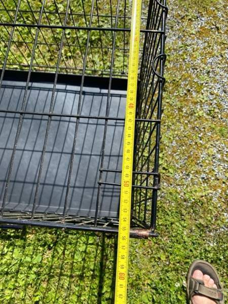 Koirahäkki Nokia - valokuva 3