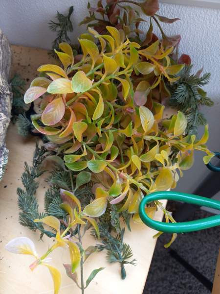 Akvaariokoristeita ja tarvikkeita Turku – foto 6