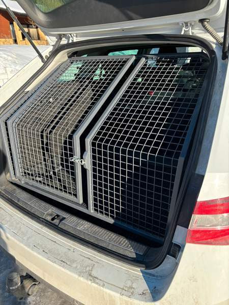 Koiraveräjä Skoda SuperB Rovaniemi - valokuva 2