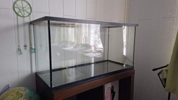 Terraario Vihti – foto 1