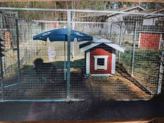 Jepo koiratarha Ruokolahti