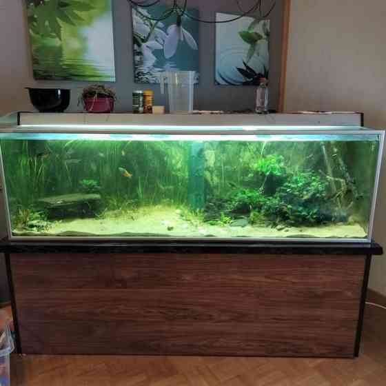 600l akvaario Karkkila