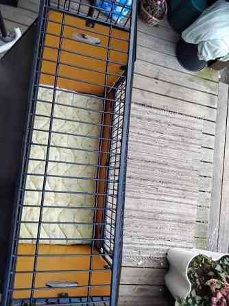 Koiran häkki iso Valkeakoski