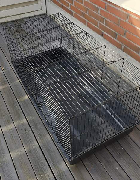 Kanin/marsun häkki Коувола - изображение 1