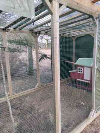 Myydään kolli-kissa tarha moneen käyttöön Kouvola