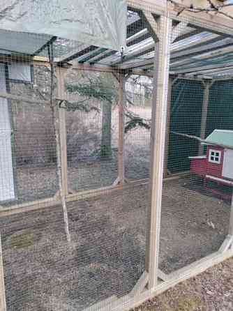 Myydään kolli-kissa tarha moneen käyttöön Kouvola