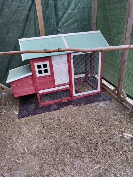 Myydään kolli-kissa tarha moneen käyttöön Kouvola - photo 4