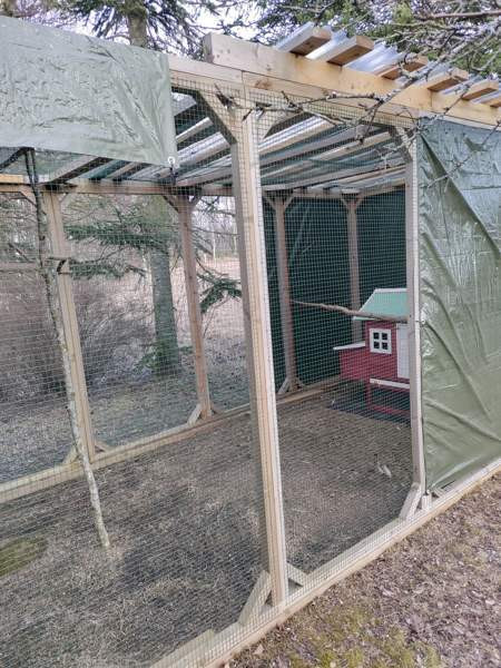 Myydään kolli-kissa tarha moneen käyttöön Kouvola - photo 5