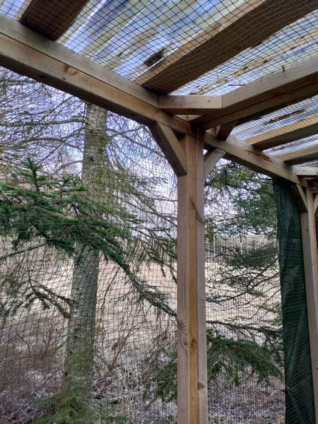 Myydään kolli-kissa tarha moneen käyttöön Kouvola - photo 3