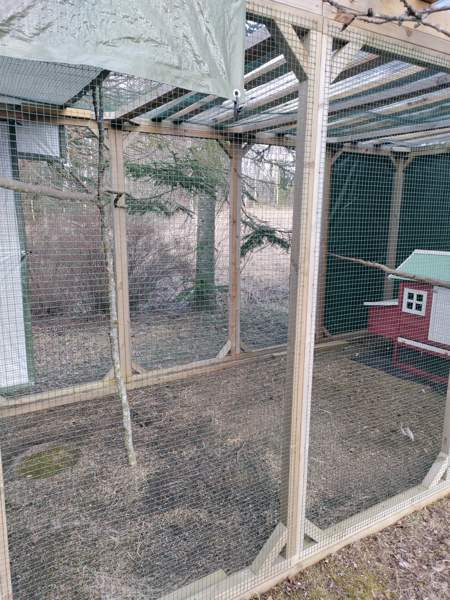 Myydään kolli-kissa tarha moneen käyttöön Kouvola - photo 1