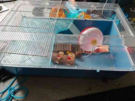 Hamsterin häkki tarvikkeineen Karkkila