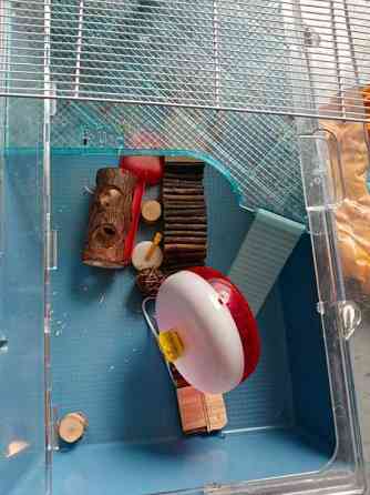 Hamsterin häkki tarvikkeineen Karkkila