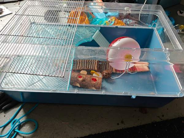 Hamsterin häkki tarvikkeineen Karkkila - изображение 2