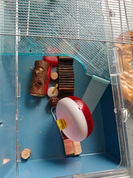 Hamsterin häkki tarvikkeineen Karkkila - изображение 1