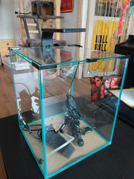 Nanoakvaario Aquael 30l Shrimp set Espoo – foto 1