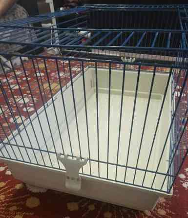 Marsut häkki ja avattu Omenaheinä Pomppis 500 g Helsinki