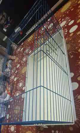 Marsut häkki ja avattu Omenaheinä Pomppis 500 g Helsinki