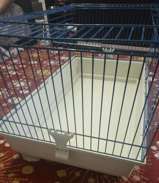 Marsut häkki ja avattu Omenaheinä Pomppis 500 g Helsinki - valokuva 5